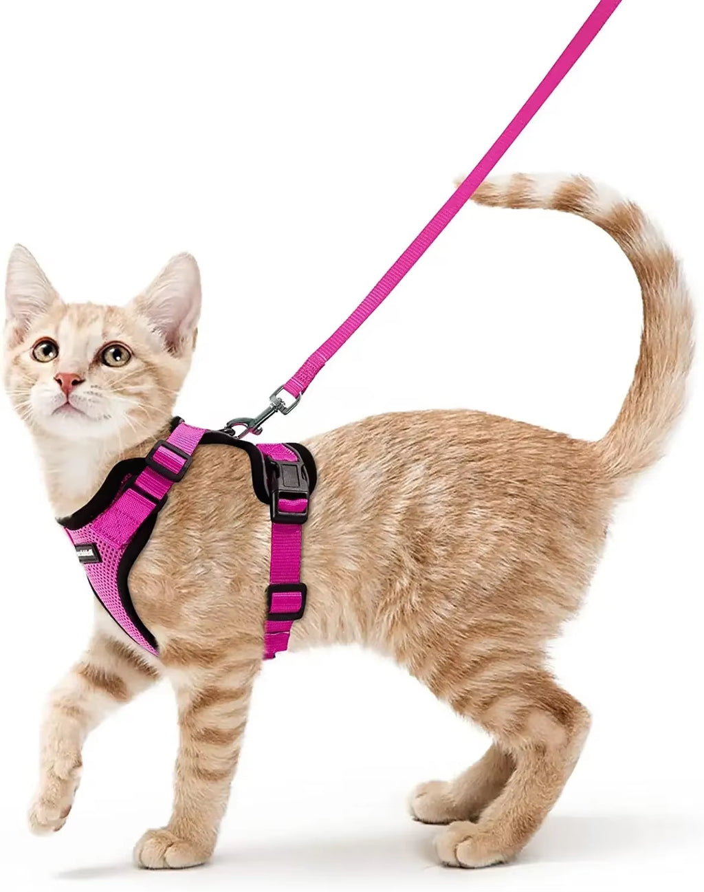 Cat Harness and Leash for Walking,Escape Proof Soft Adjustable Vest Harnesses for Cat,Breathable Reflective Strips Jacket