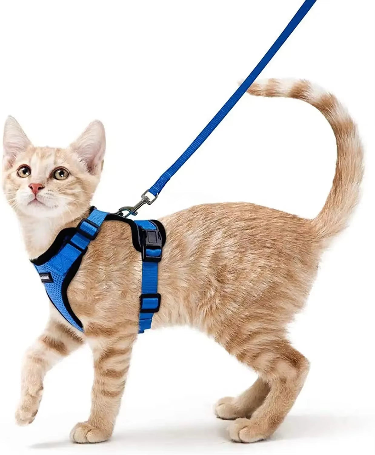 Cat Harness and Leash for Walking,Escape Proof Soft Adjustable Vest Harnesses for Cat,Breathable Reflective Strips Jacket