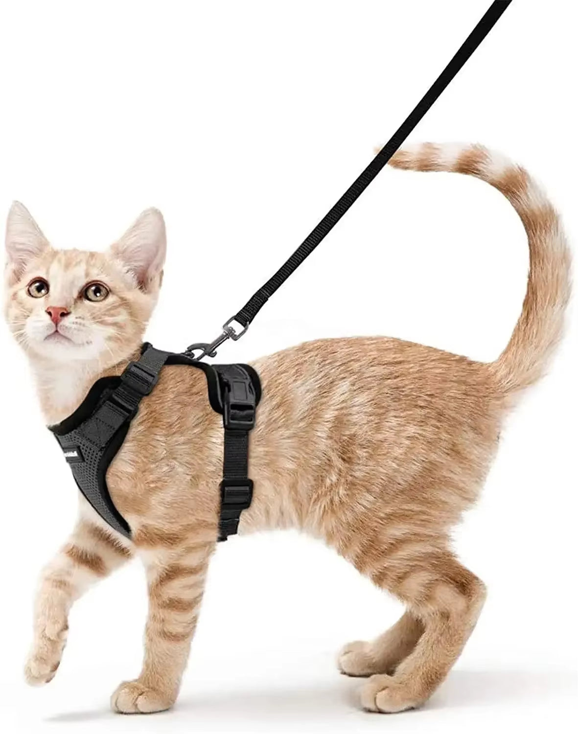 Cat Harness and Leash for Walking,Escape Proof Soft Adjustable Vest Harnesses for Cat,Breathable Reflective Strips Jacket